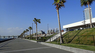 p4175533_thumb.jpg
