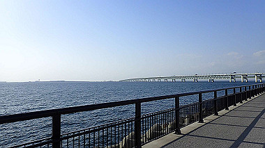 p4175534_thumb.jpg