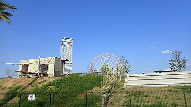 p4175535_thumb.jpg