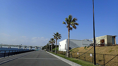 p4175537_thumb.jpg