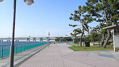 p4175540_thumb.jpg