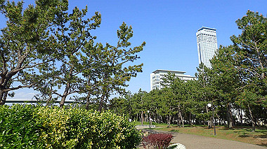 p4175542_thumb.jpg