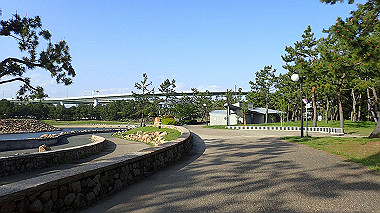 p4175545_thumb.jpg