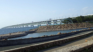 p4175546_thumb.jpg