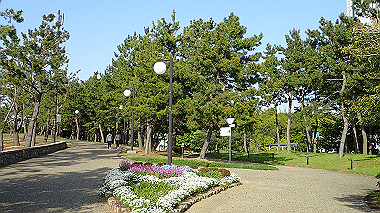 p4175547_thumb.jpg