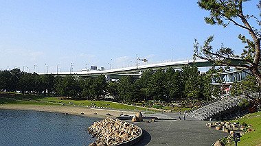 p4175549_thumb.jpg