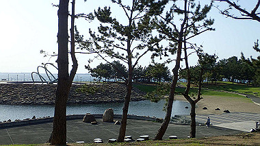 p4175551_thumb.jpg