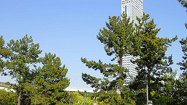 p4175553_thumb.jpg