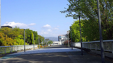 p4175554_thumb.jpg