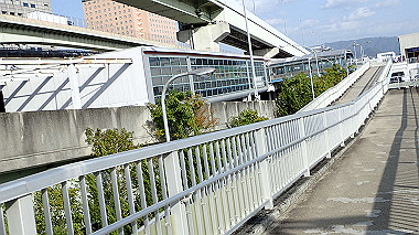 p4175562_thumb.jpg