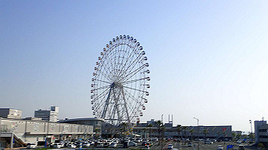 p4175563_thumb.jpg