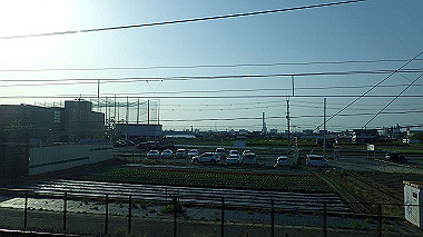 p4175570_thumb.jpg
