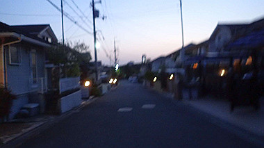 p4175587_thumb.jpg