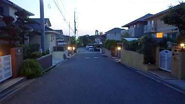 p4175588_thumb.jpg