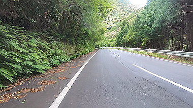 gx017842.mp4_snapshot_00.41_thumb.jpg