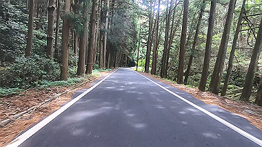 gx017843.mp4_snapshot_00.24_thumb.jpg