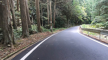 gx017843.mp4_snapshot_00.32_thumb.jpg