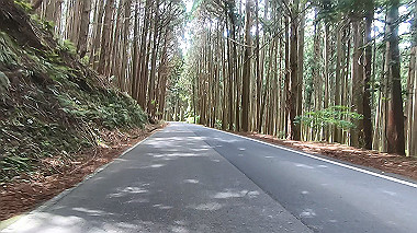 gx017850.mp4_snapshot_01.13_thumb.jpg
