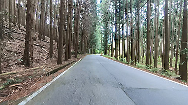 gx017851.mp4_snapshot_00.07_thumb.jpg