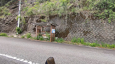 gx017853.mp4_snapshot_00.29_thumb.jpg