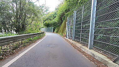 gx017856.mp4_snapshot_02.40_thumb.jpg