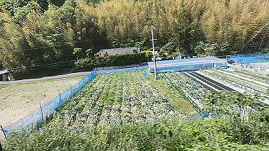 gx017873.mp4_snapshot_00.52_thumb.jpg