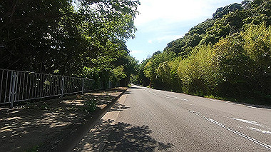 gx017880.mp4_snapshot_00.00_thumb.jpg