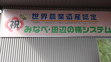 p5055642_thumb.jpg