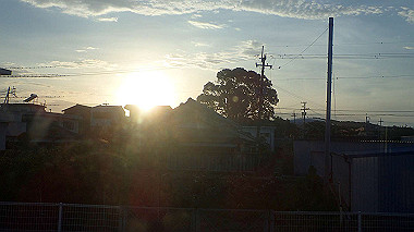 p5055661_thumb.jpg