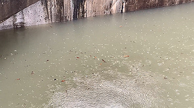 2023-06-02_16-54-28_000_x264.mp4_snapshot_00.08_thumb.jpg