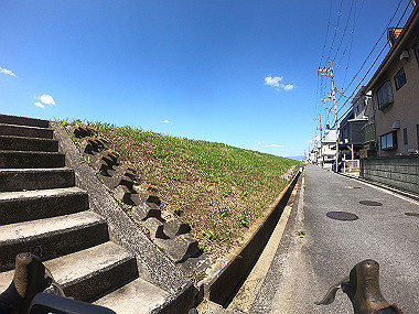 g0017933_thumb.jpg