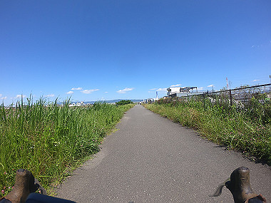 g0038739_thumb.jpg
