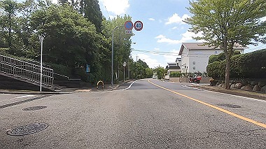gx017917.mp4_snapshot_00.47_thumb.jpg
