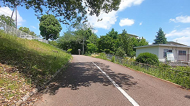 gx017918.mp4_snapshot_00.59_thumb.jpg