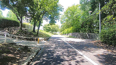 gx017918.mp4_snapshot_01.28_thumb.jpg