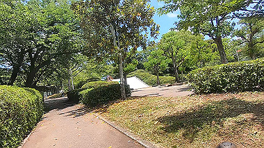 gx017918.mp4_snapshot_02.58_thumb.jpg