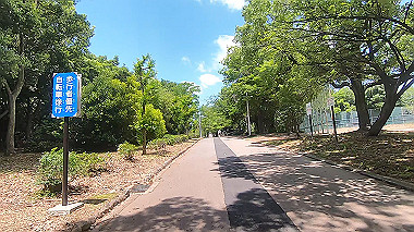 gx017918.mp4_snapshot_03.21_thumb.jpg