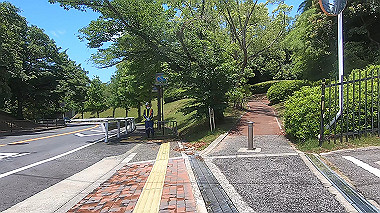 gx017920.mp4_snapshot_00.19_thumb.jpg