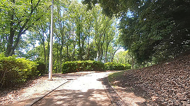 gx017920.mp4_snapshot_00.34_thumb.jpg