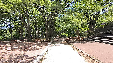 gx017920.mp4_snapshot_00.49_thumb.jpg