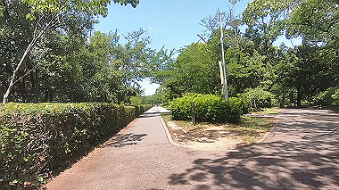 gx017920.mp4_snapshot_01.23_thumb.jpg