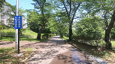 gx017920.mp4_snapshot_01.38_thumb.jpg