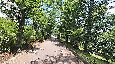gx017920.mp4_snapshot_01.55_thumb.jpg