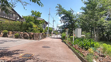 gx017920.mp4_snapshot_02.02_thumb.jpg