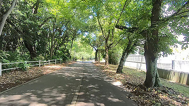 gx017920.mp4_snapshot_03.34_thumb.jpg