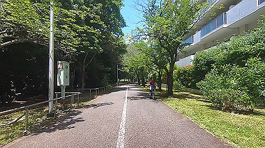 gx017920.mp4_snapshot_03.53_thumb.jpg