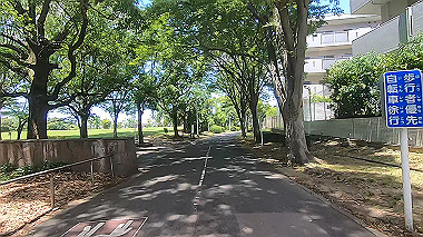 gx017920.mp4_snapshot_04.00_thumb.jpg