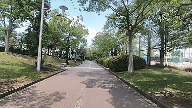 gx017920.mp4_snapshot_04.40_thumb.jpg