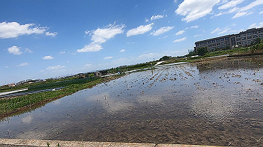 gx017921.mp4_snapshot_00.07_thumb.jpg