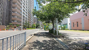 gx017922.mp4_snapshot_06.12_thumb.jpg